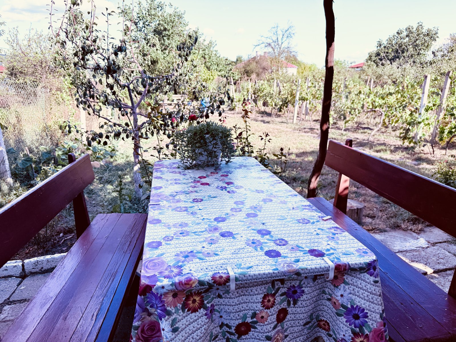 Дом в Гюлевцы