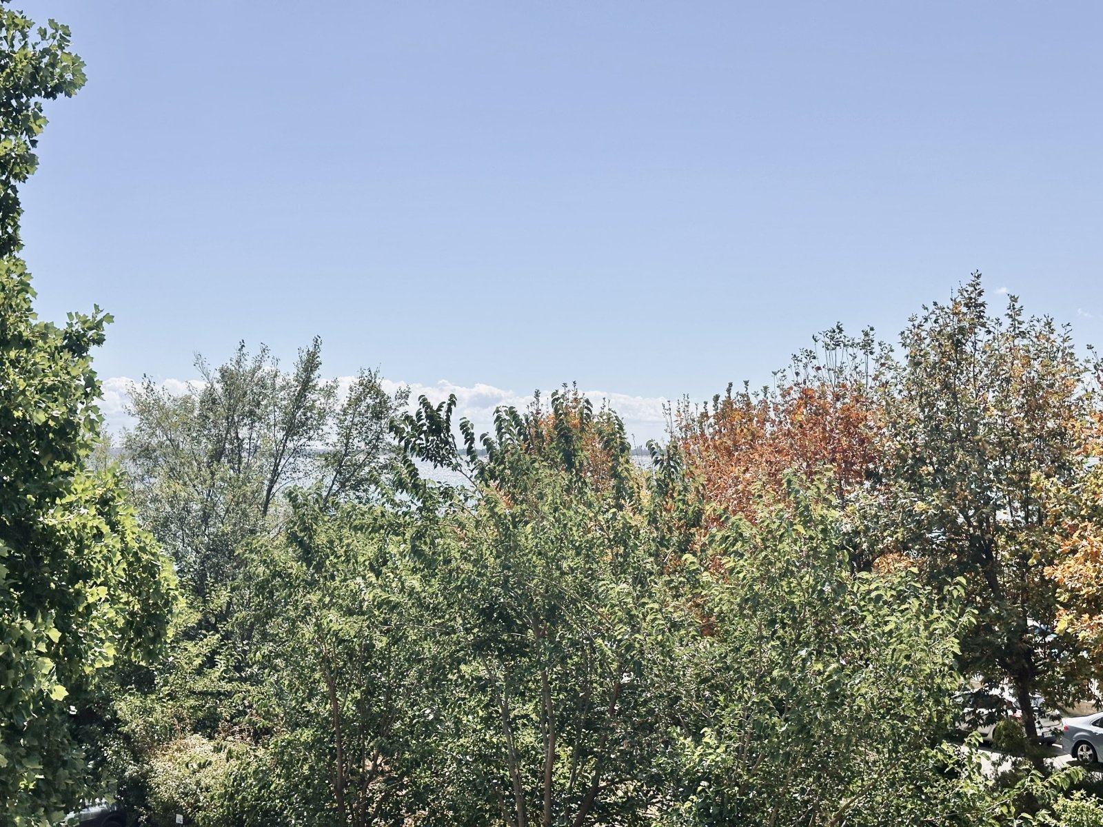 3-комнатная квартира Casa Real с видом на море, Свети Влас, Болгария