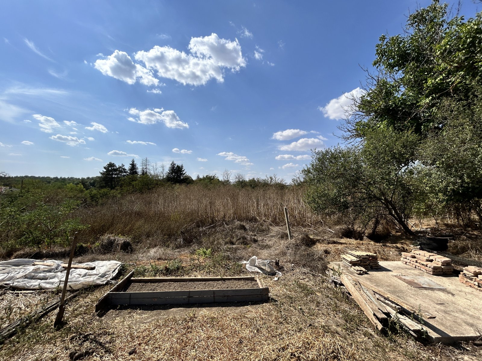 Дом с большим участком в районе Изворово, Добруджа, Болгария